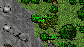 Warchazz on screen