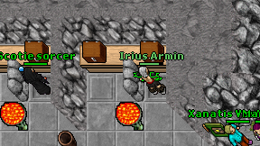 Irius Armin on screen