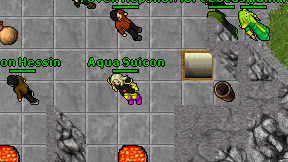 Aqua Suicon on screen
