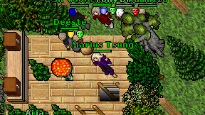 Marius Tsung on screen
