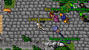 Lady Summit on screen
