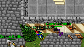 Garota Fenix on screen