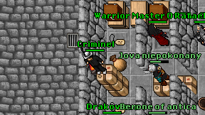 Criminel on screen