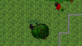 Mofoo on screen