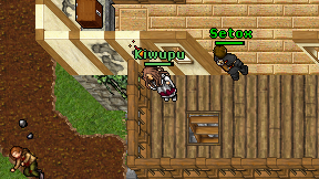 Kiwupu on screen