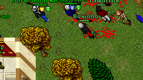 Boxinho on screen