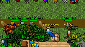 Miels Druid on screen