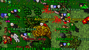 Adosdruid on screen