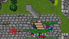Xineni on screen