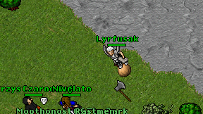 Lyrfusak on screen