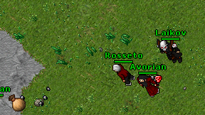 Rosseto on screen