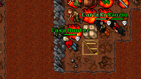 Casa Hunter on screen