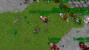 Max Impossible on screen