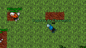 Capeta de Charneca on screen