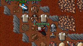 Loodwig on screen