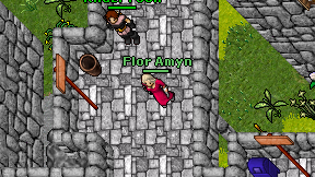 Flor Amyn on screen