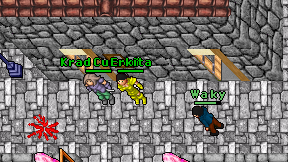 Erkita on screen