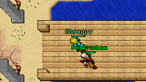 Ehsappy on screen
