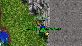 Po meu on screen