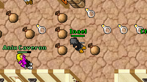 Inael on screen