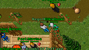 Vego Hidexis on screen