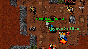 Druid Cachaca on screen