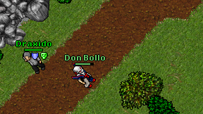 Don Bollo on screen