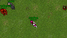 Nafka on screen