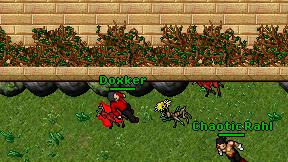 Doxker on screen