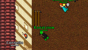 Koval ziom on screen