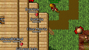 Saleja on screen