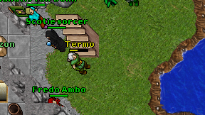 Termo on screen