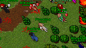 Phoxina on screen