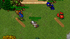 Szizaoo on screen