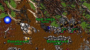 Spy Ninja on screen