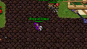 Royal lima on screen