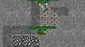 Amera Citizen on screen