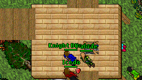 Knight Blinded on screen