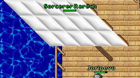 Sorcerer Rarech on screen