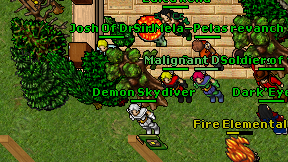 Demon Skydiver on screen