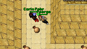 Foorgo on screen