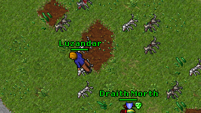 Luzandar on screen