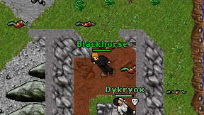 Blackhorse on screen