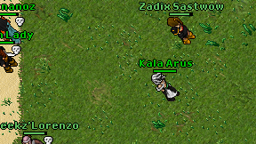 Kala Arus on screen