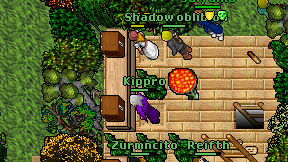 Kippro on screen