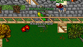 Rhaos Druid on screen