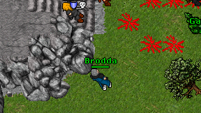 Brodda on screen
