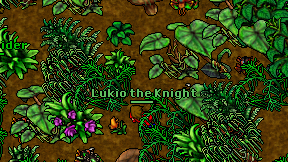 Lukio the Knight on screen