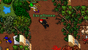 Escaflonee on screen