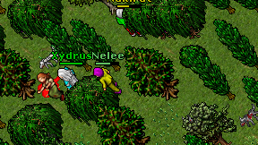 Nelee on screen